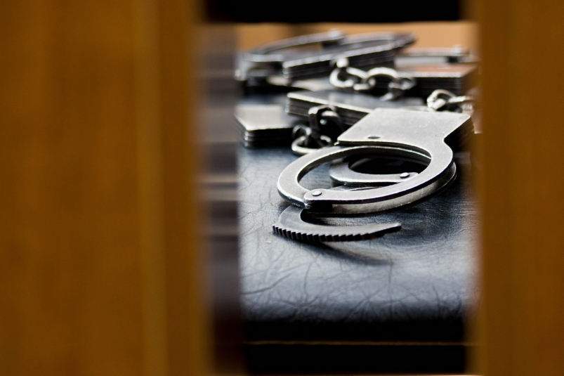 Тематическая фотография Денис Таушканов, ИА SakhalinMedia