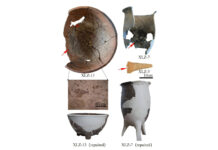 Изобретательность древних людей в приготовлении питательной пищи 5fd18f93-128b-4de1-97ba-8acade808e4a-67db3361