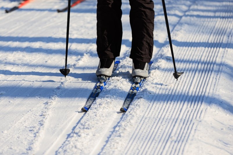 Фото: primamedia.ru