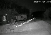 61e9d84c-2035-47b3-8821-2e0db16b59af-67e9929c