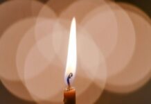 65fd7230-f728-4dc8-bbc0-af142b3533e8-67cfbf00