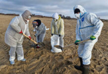 Волонтеры проявляют героизм при ликвидации последствий разлива мазута 7cf88a15-05fc-41dd-b81b-c7b076116d8a-67dbc6c2