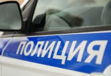 Трагический инцидент с лесниками в Калужской области завершился спасением заложников 82c4a34b-a607-4aed-83a9-2a95cde1cfa3-67ed514c