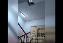 8d07cb6c-fe2f-41b7-a312-0ae6168a3b39-67e1dee5 - stanural