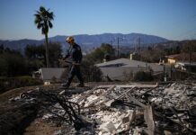 Дональд Трамп планирует визиты в пострадавшие от стихии регионы США 8f679fde-b338-4f41-9efe-14d07b28e13e-67e38f64