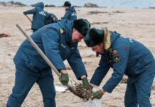 Успешная очистка Бердянской косы от нефтепродуктов 96f541c1-612b-431a-bcc6-75096142b61c-67d8ae73