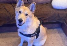 a05f0729-a472-45af-84f0-69962420ddea-67e519ea