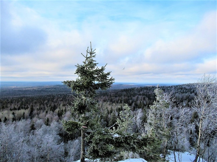 Стало известно, какой будет погода в феврале на Среднем Урале