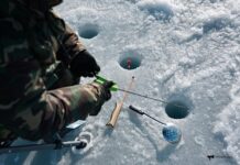 Трагический случай с рыбаком на зимнем льду Владивостока ae8ee3c8-8495-47b3-8594-1d7c303e20ea-67d54dc0