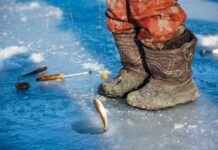 b1da37c6-0e0a-4d74-8d73-e22f45d2cb05-67dec7a5