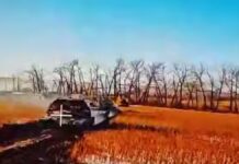 b7a81665-a766-4c2d-a8ce-e6edb2344419-67ce424b