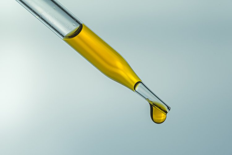 scientificrussia.ru