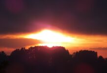 c4923b59-4d41-4038-815c-eee7d87b87da-67db7dc2