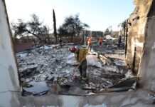 c4ff894b-512b-4f6c-a6db-4df96a3fe2ff-67d95219