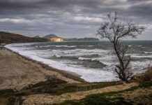 Сейсмическая активность у Крымского побережья c964bab3-560e-49e2-89d3-f8638ea2f2d7-67d7395d