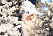 Переодетый Дедом Морозом мужчина устроил незабываемое новогоднее шоу в Челябинске cfae8fb6-0be5-4b93-9552-521830507fb9-67c99cb3