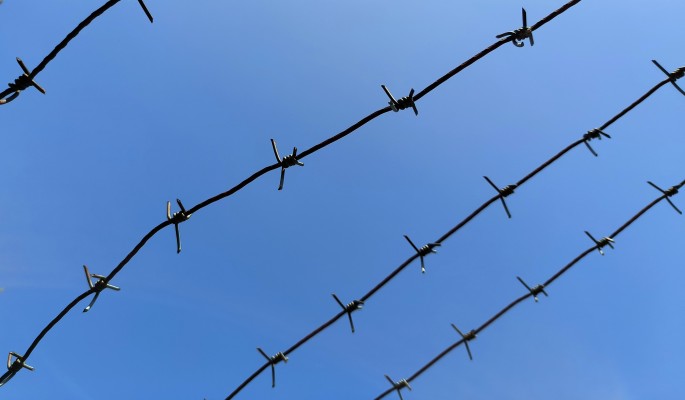 Взяли на карандаш: налоговая проверит доходы Бузовой, Бони и Бородиной