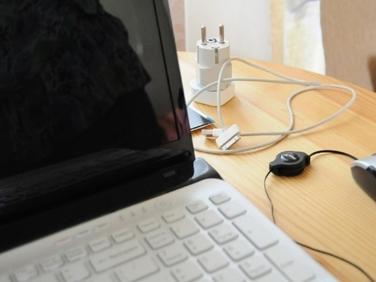 Хакеры атаковали систему электронных дневников в Курганской области