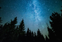 Удивительный парад планет озарит московское небо в январе 2025 года TheMilkyWayRisesOverThePineTreesOnA