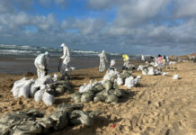 Последствия морской аварии у берегов Кубани под контролем специалистов e3d35800-07ac-4080-835b-25510874e646-67d5bdb1