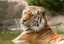 e4c5490b-7785-4361-98d7-1aa4b437a7ad-67ed0038