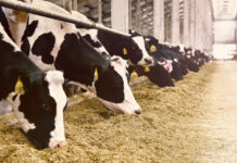 f029e77d-ef11-46e5-83cd-be2daf8c68e6-67ee5e89