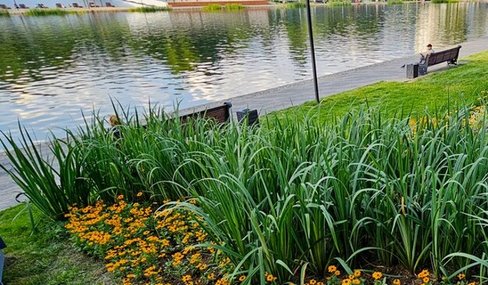 Большой аквариум и декоративных рыб покажут гостям форума-фестиваля "Территория будущего. Москва 2030"