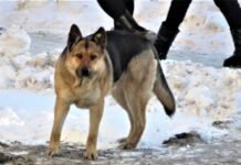 f5243d39-7dfd-49ae-9214-e4cc367a34d4-67f02fe4