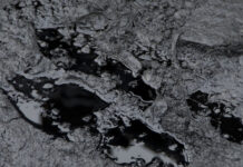 Масштабная очистка пляжей Кубани: впечатляющие результаты экологической операции f56535db-1565-4ea6-bc86-c115bc20d3c1-67d40b9d