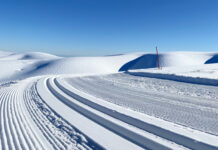 Гонка чемпионов получит новый формат состязаний fe1bf11c-42f5-4220-ab93-ed9330938bf4-67dc440e