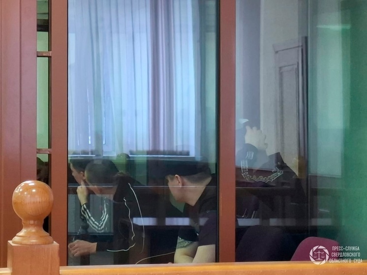 Участникам смертельной драки в Сысерти просят назначить от 17 до 19 лет