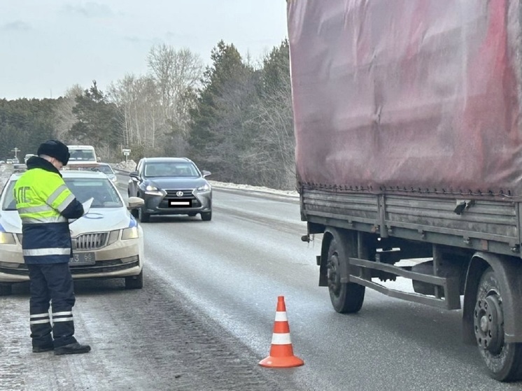 Пешеход скончался в больнице после ДТП в Сысертском районе