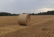 Свердловская область усиливает поддержку агропромышленного комплекса 4b7b088a-eddf-4155-9a82-f178af2c2e71-68011145