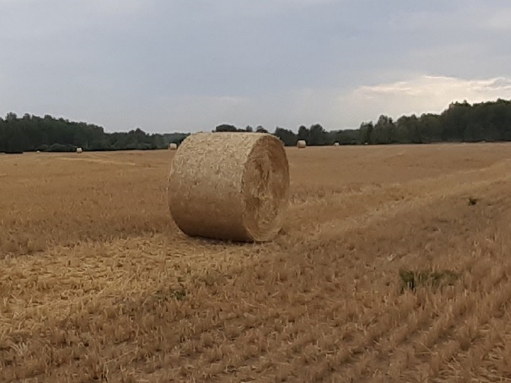 На АПК Свердловской области дополнительно выделили 773 миллиона