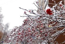 4efa3dd5-ee77-4d45-9f04-3ce231ea3711-67fb51ec