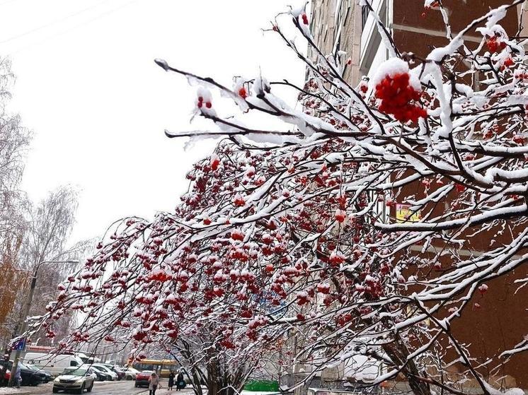 На Урале пересчитают воробьев