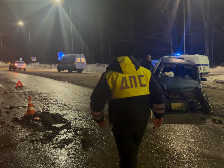 Причиной трагедии на трассе «Полевской-Екатеринбург» стало пьяное вождение