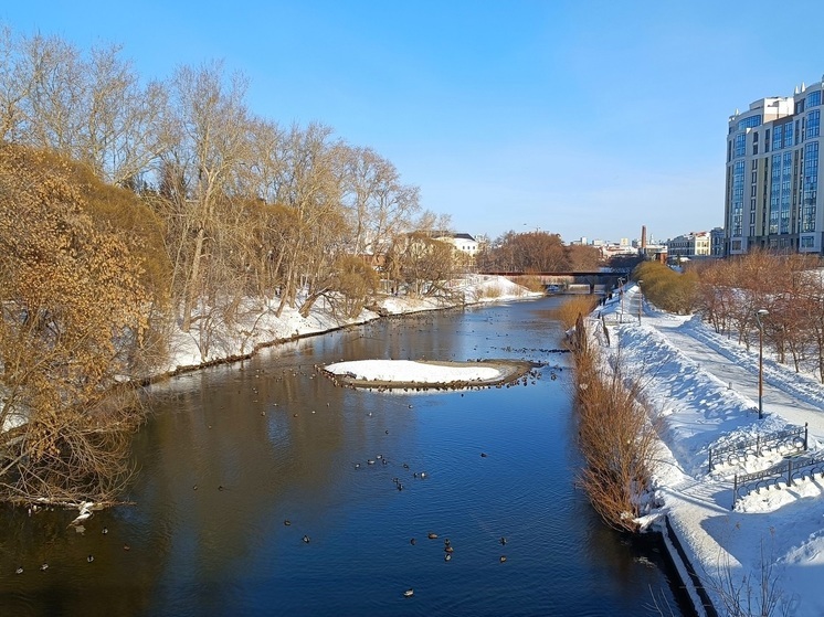 В администрации Екатеринбурга приняли концепцию благоустройства на Исети