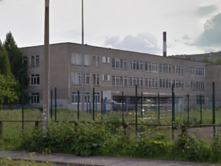 Бастрыкин поручил провести проверку по избиению школьницы в Нижнем Тагиле