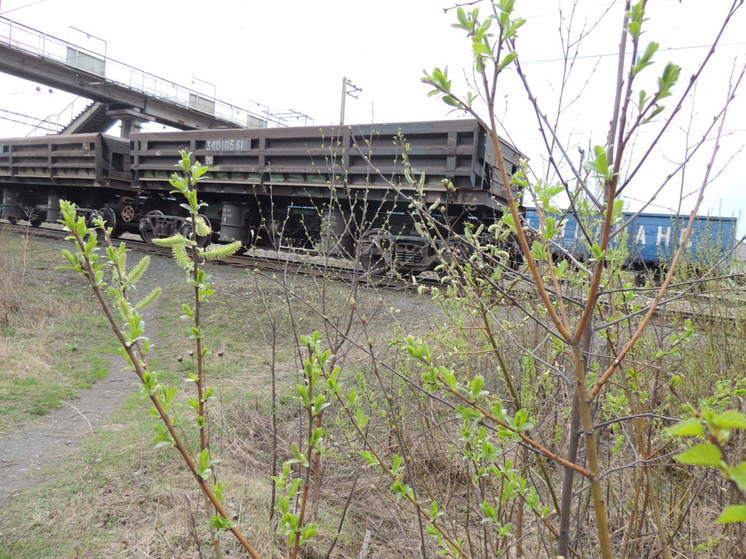 Перевозки удобрений, зерна и металлов увеличились на Свердловской магистрали