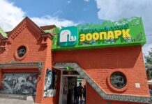 Замечательное пополнение в Екатеринбургском зоопарке 8ec32319-9d40-48dc-bd7f-8c87b0230097-67f6096b