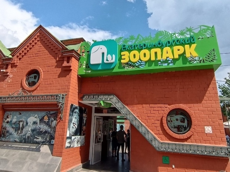 В екатеринбургский зоопарк заселилась пара цепкохвостых дикобразов