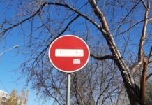 Новые правила парковки на улице Пушкина улучшат городскую среду Кургана 92b03224-8b37-41e2-96a4-954e05d058ff-67fa43fd