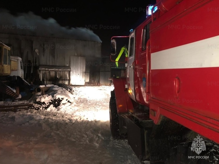 Ночью в Екатеринбурге загорелся гараж с «Газелью» внутри