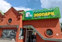 Екатеринбургский зоопарк приглашает выбрать «Зоо-мистера – 2025» b455a238-66be-490e-a088-2d9c51c71aa4-67fe7035