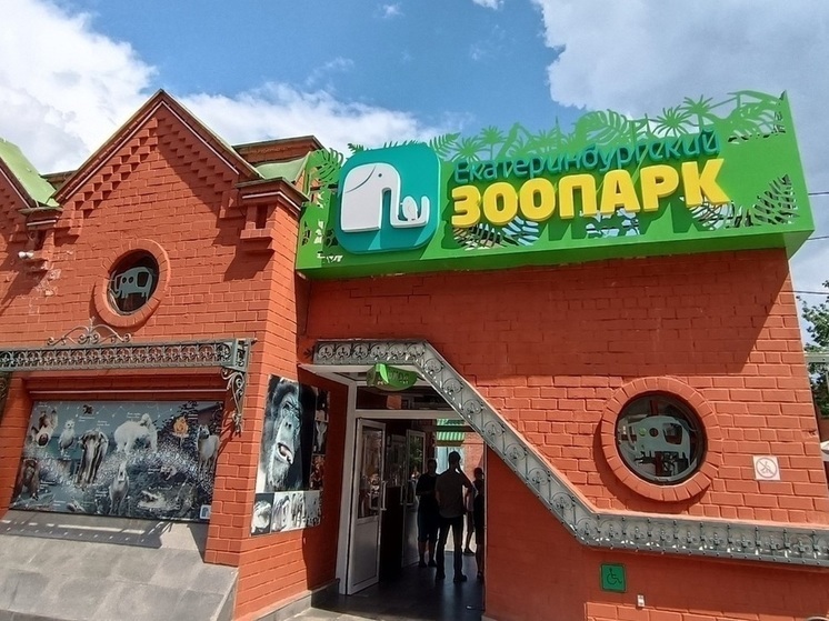 Екатеринбургский зоопарк объявил конкурс на звание «Зоо-мистер – 2025»