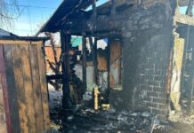 Пожар в садовом товариществе Кургана d2386d89-2094-42c6-9fa9-a648f3edf94e-67fd6e1b