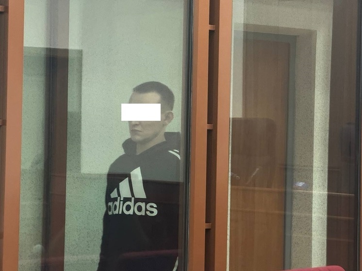Получил приговор свердловчанин, убивший двухлетнюю дочь сожительницы