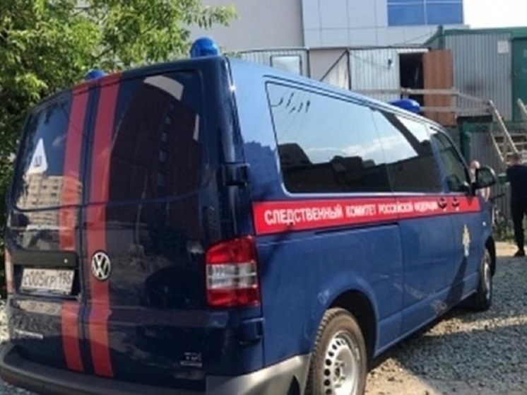 Глава СКР заинтересовался делом об избиении фельдшера в Екатеринбурге