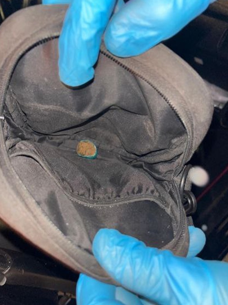 Приезжего с растительным наркотиком задержали в Курганской области